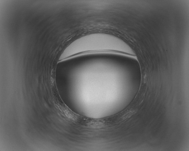 X0000081461156200701121034