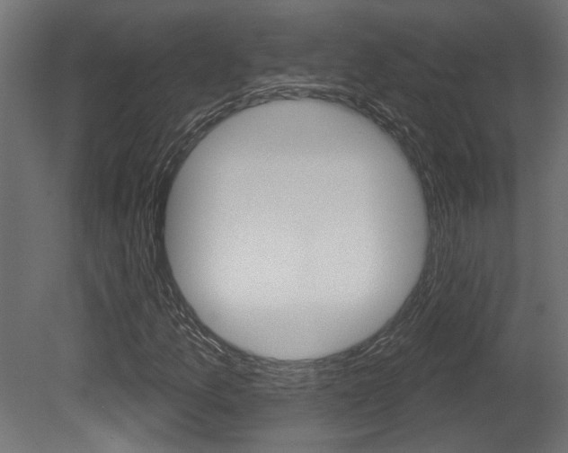 X0000081461157200701121034