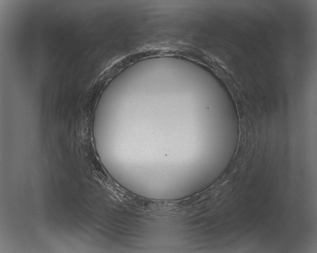 X0000081461158200701121034