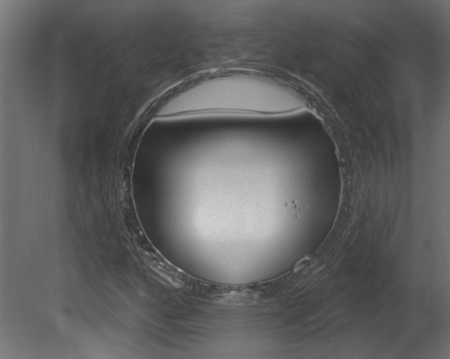 X0000081461160200701121033