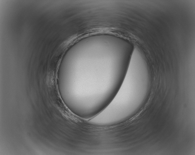 X0000081461161200701121033