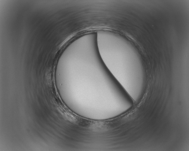X0000081461162200701121033