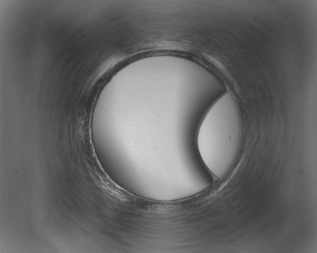 X0000081461163200701121033
