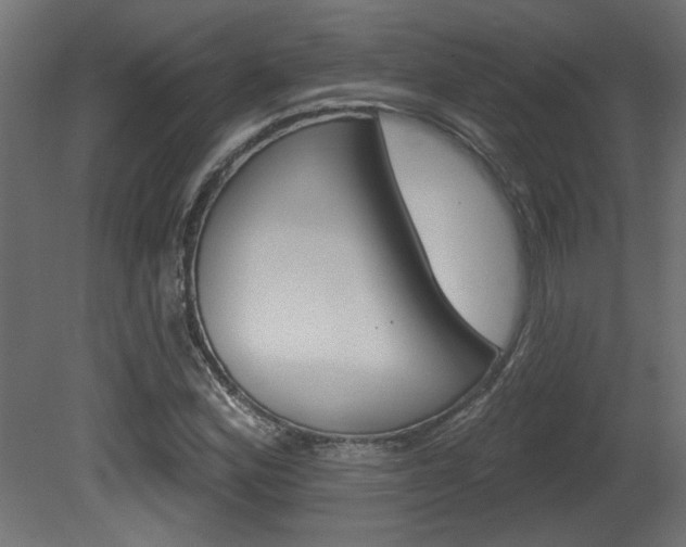 X0000081461164200701121033