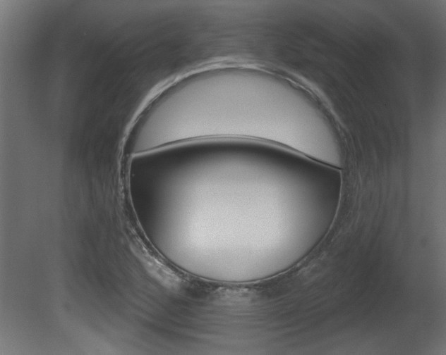 X0000081461168200701121033