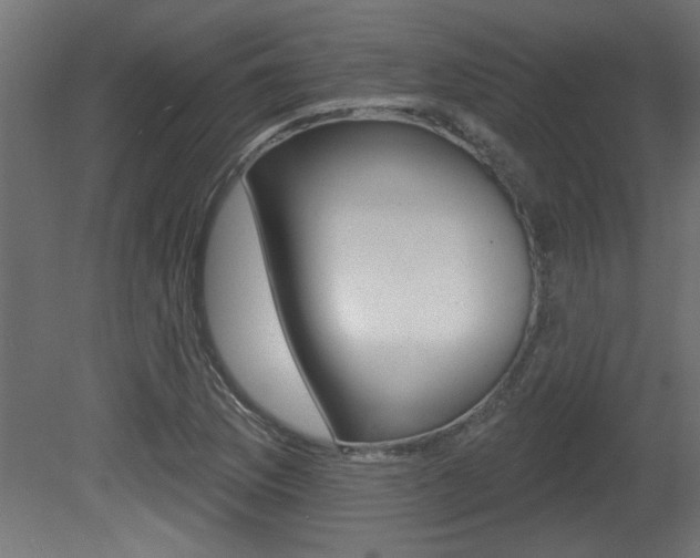 X0000081461169200701121033