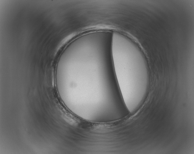 X0000081461171200701121033