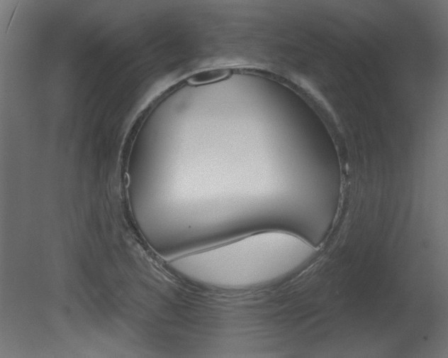 X0000081461173200701121033