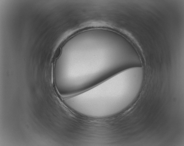 X0000081461175200701121033