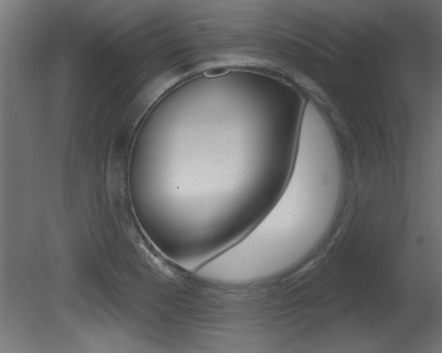 X0000081461177200701121033