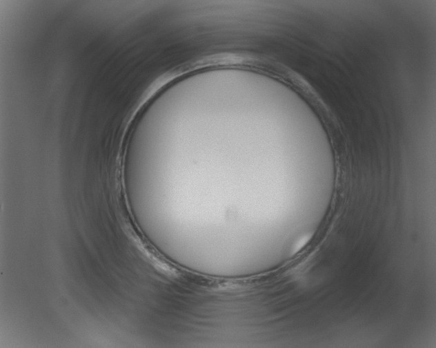 X0000081461178200701121033