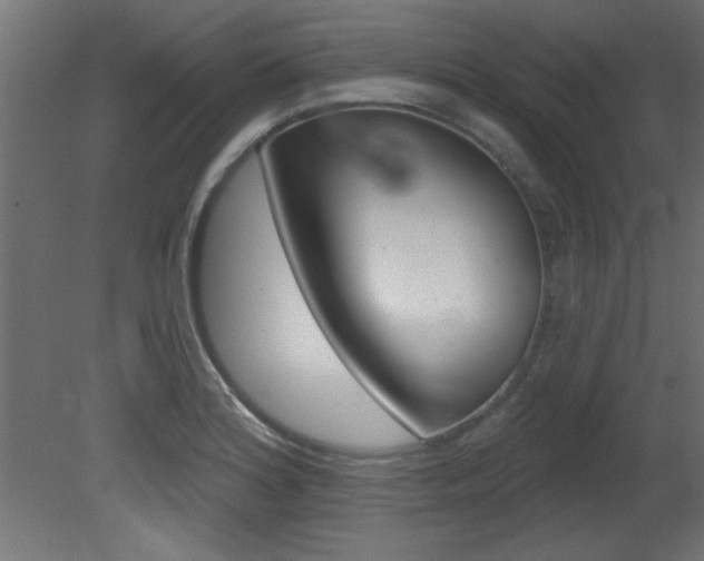 X0000081461180200701121033