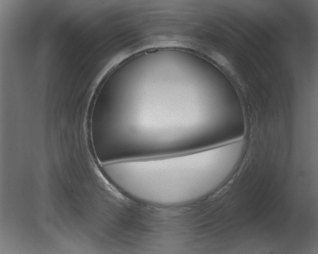 X0000081461181200701121033