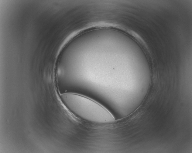 X0000081461183200701121033