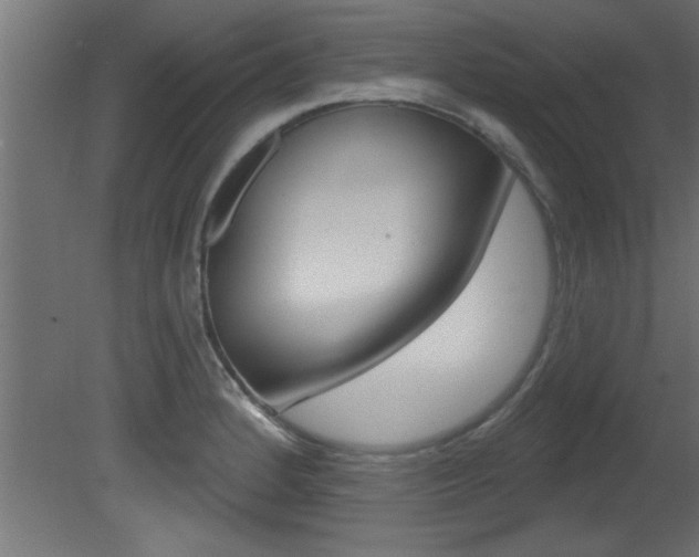 X0000081461184200701121033