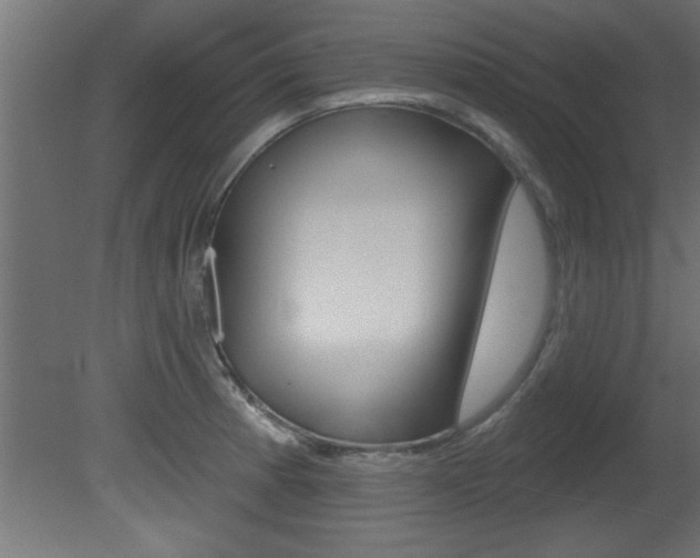 X0000081461185200701121033