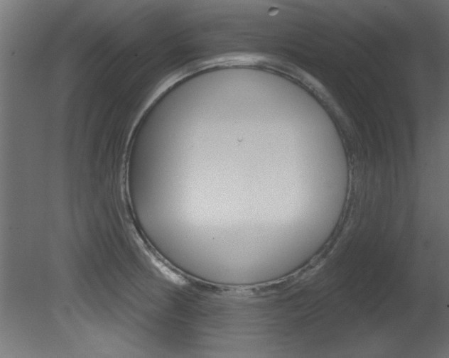 X0000081461186200701121033