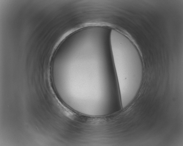 X0000081461187200701121033
