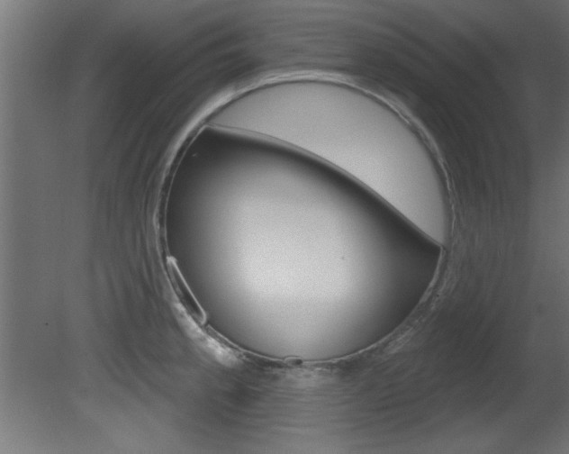 X0000081461189200701121033