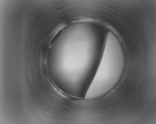 X0000081461193200701121033