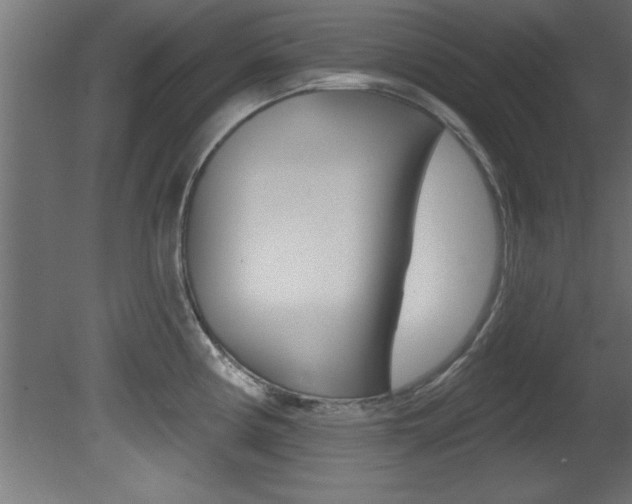 X0000081461194200701121033