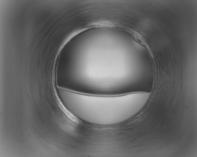 X0000081461195200701121033
