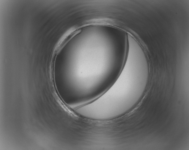 X0000081461196200701121033