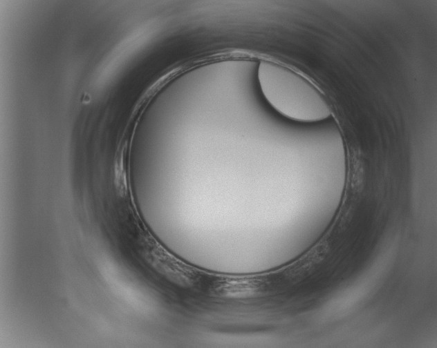 X0000081461198200701121033