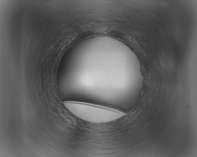 X0000081461201200701121032
