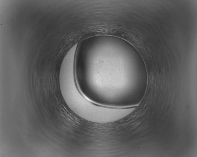 X0000081461202200701121032