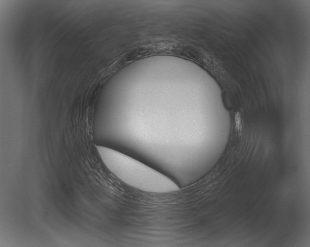 X0000081461203200701121032
