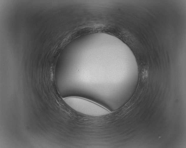 X0000081461204200701121032