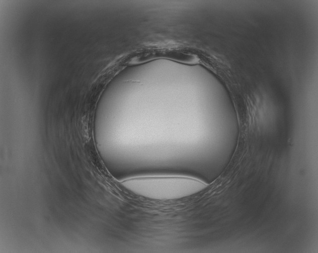 X0000081461205200701121032