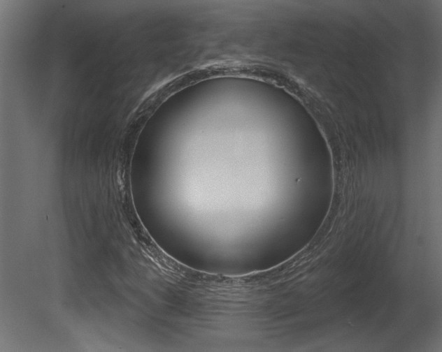 X0000081461206200701121032