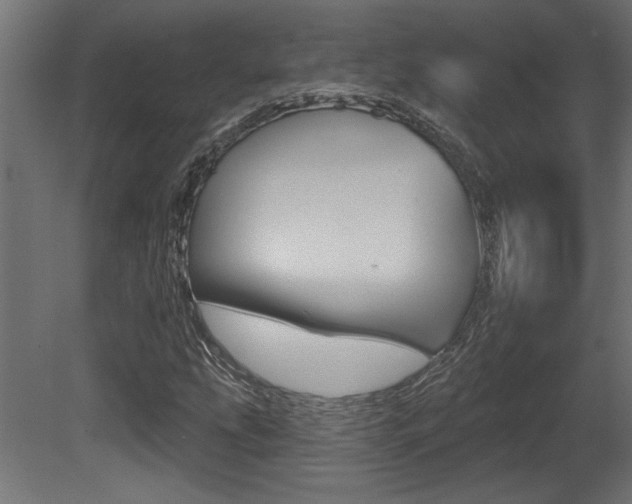 X0000081461207200701121032