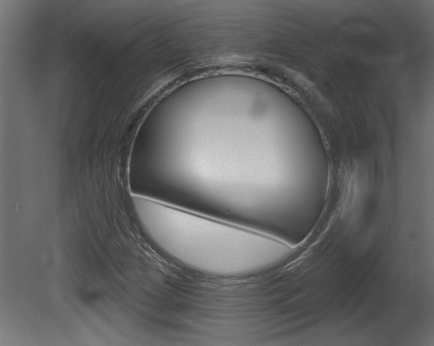X0000081461209200701121032