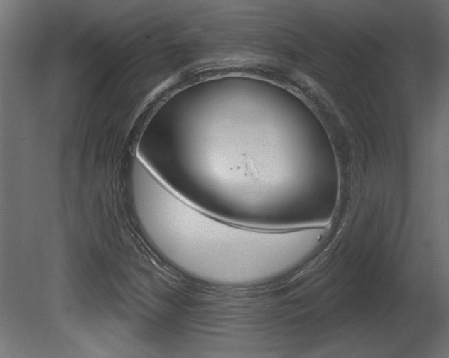 X0000081461210200701121032