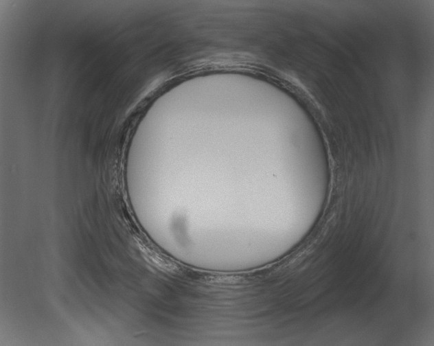 X0000081461211200701121032