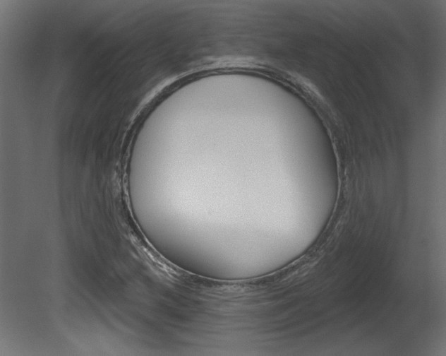 X0000081461212200701121032
