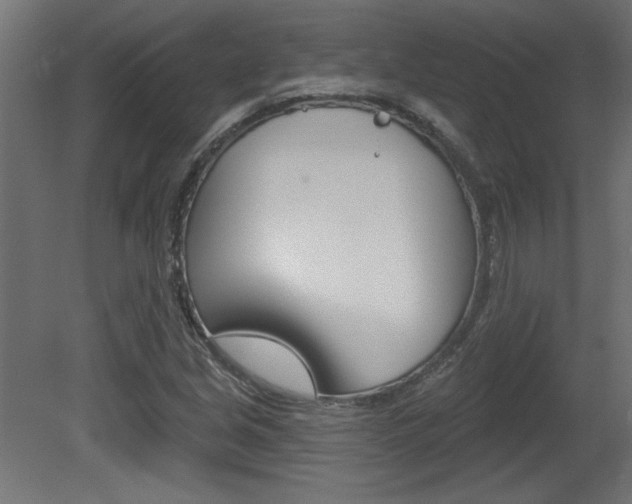 X0000081461213200701121032