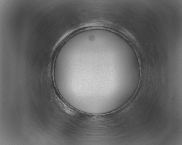 X0000081461216200701121032