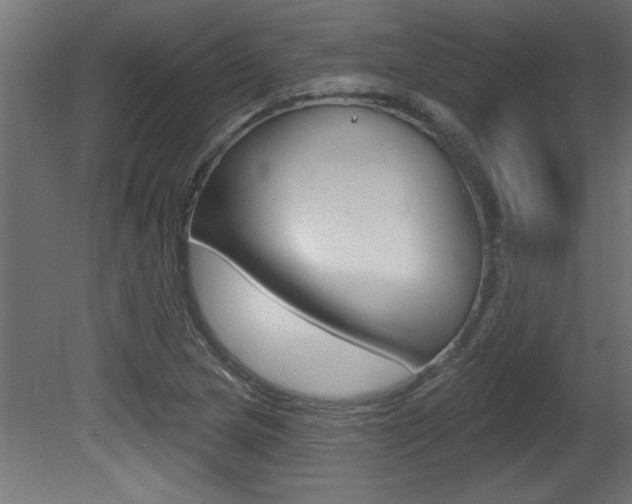 X0000081461217200701121032