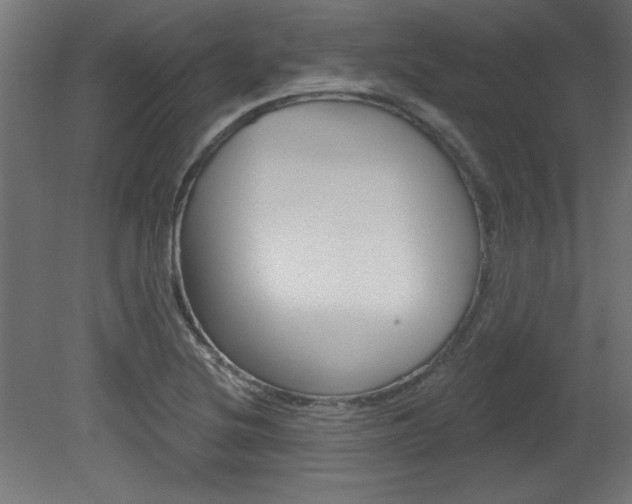X0000081461220200701121032