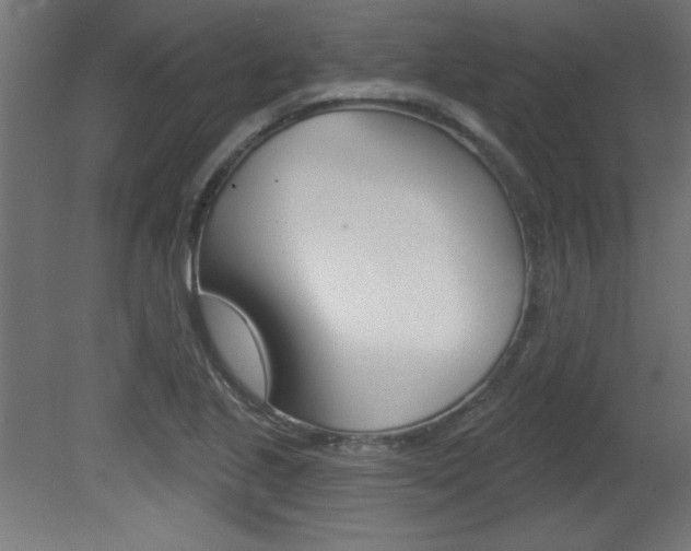 X0000081461221200701121032