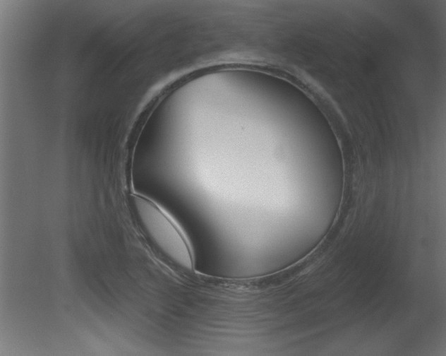 X0000081461222200701121032