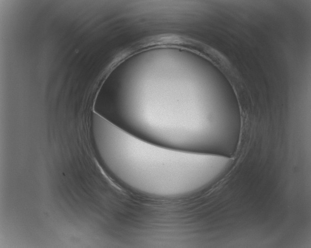 X0000081461225200701121032