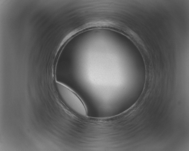 X0000081461226200701121032