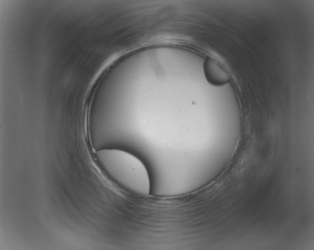 X0000081461227200701121032
