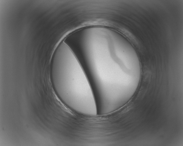 X0000081461228200701121032