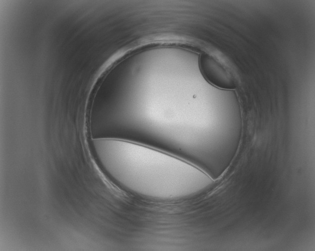 X0000081461229200701121032